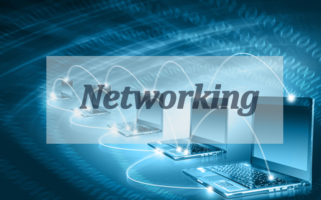 Networking Basics <br><br><br>